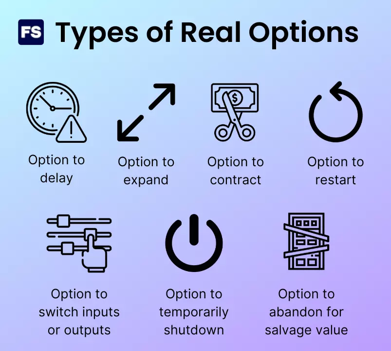 types of real options